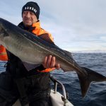 TORSVÅG HAVFISKE DA
